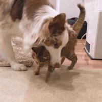 思わずパクリ♡