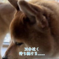 「まだかな、まだかな」