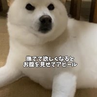 「撫でて～！！」