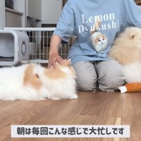 大忙しだけれど幸せ♡
