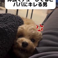 飼い主たちを怒った様子で見つめる犬