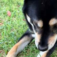 友達に写真を送ったら…