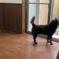 お姉ちゃんと窓越しに再会