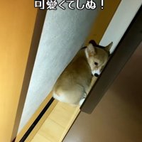 いじけている姿が可愛すぎる♡