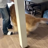 大歓喜のお出迎え♡
