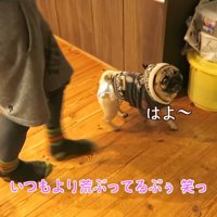 ごはんの準備を開始
