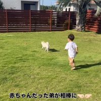 庭で一緒に走る赤ちゃんと犬