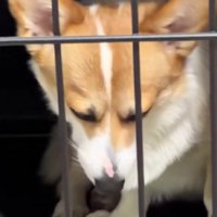 ギャップがすごすぎる…
