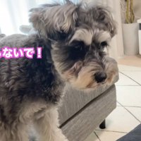 喜ぶどころか、拒否！