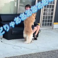 渾身のアタック！！