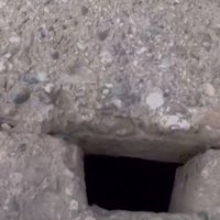 側溝から鳴き声が…