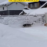 道を作り始めた！！