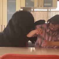 お母さんと真っ黒の超大型犬5