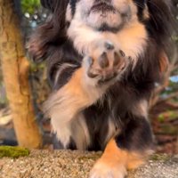 まる君とお姉ちゃんの再会4