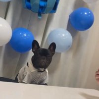 冷めた顔のぼんくん