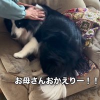 マリちゃんの熱烈歓迎2