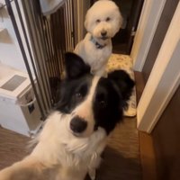 後ろに座る栗丸くん