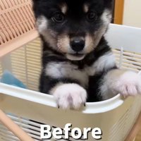 はるちゃんの成長