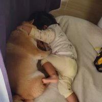 わらびちゃん、行かないで！！