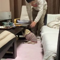 静かにアピール