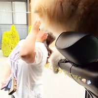 車の座席から身を乗り出して女性をこづく秋田犬