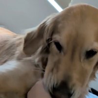 「舐めさせてぇ」