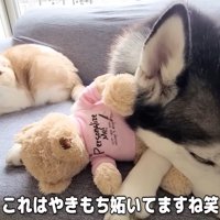 「ねえ、それ僕じゃないよ？」