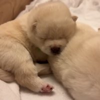 満足そうな寝顔♡