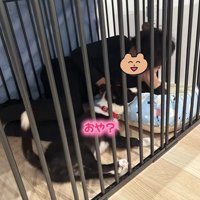 ルークくんと旦那さん3