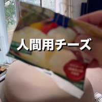 人間用チーズの袋