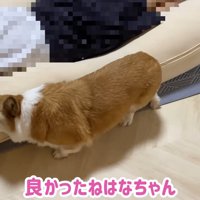 愛が止まらない♪
