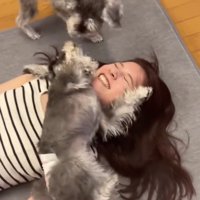 ココちゃん「どした！？」