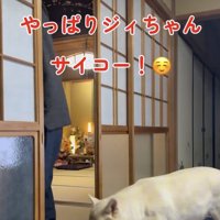 大好き、おじいちゃん