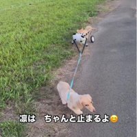 「ここは止まろう！」