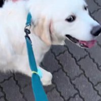 「ナンパ成功だわ」