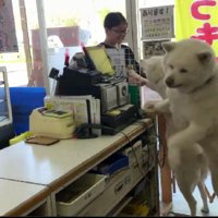 熱烈歓迎にホッコリ♡