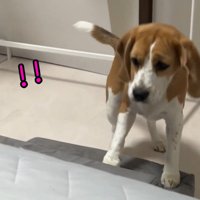 ビクッ