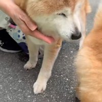 「覚えてる？」