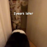 トイレを出入りするボーダーコリーと幼い男の子