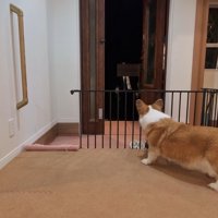 お兄ちゃんが家に到着