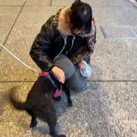 再びしっぽをブンブン♪