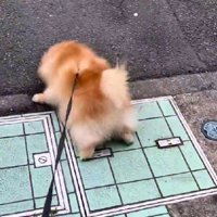 必死の抵抗にクスッ