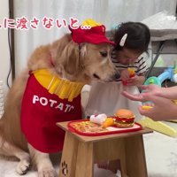 お局さんが見てる！