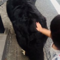 お尻を触る男の子