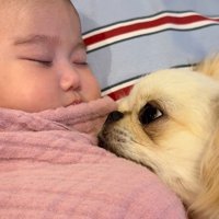 まだ赤ちゃんを見ていたいようです♡