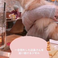 必死のアピールが可愛い♡