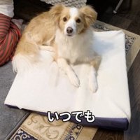 ひとりが好きでした