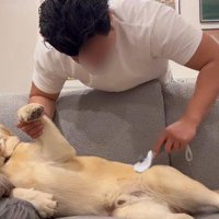 堂々としすぎてる！？