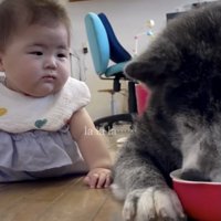 仲良くなりました！