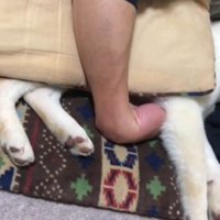幸せそうにすやすや…♡